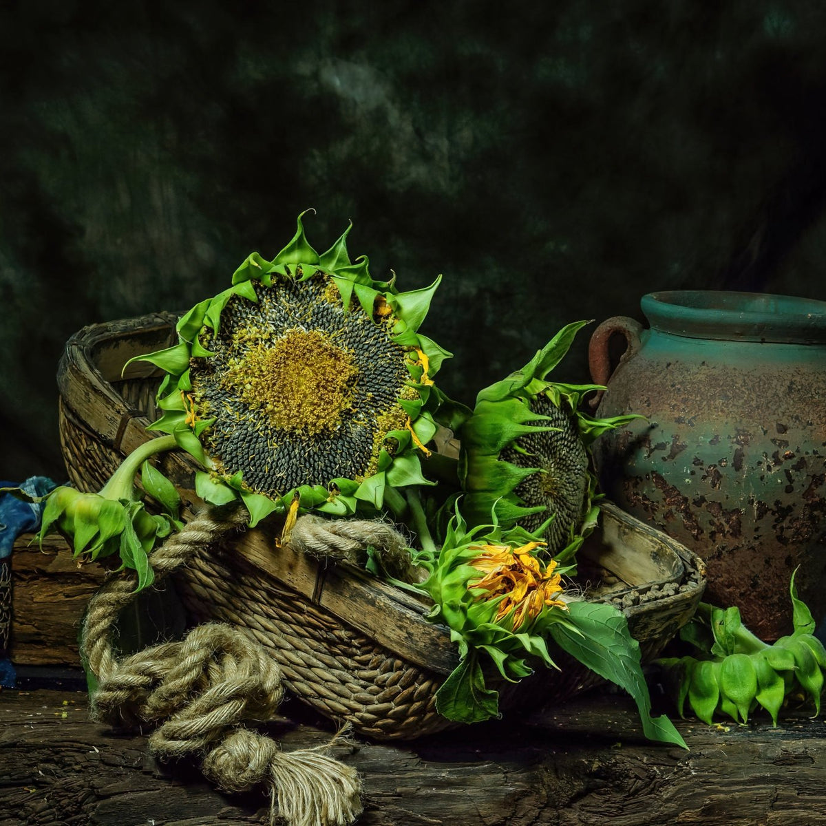 Sunflowers in Basket with Rustic Pot - Still Life Oil Painting - Oil Painting Haven