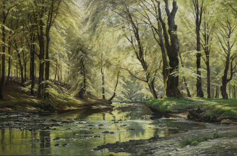Sunlit Forest Stream, Reflections – Hand - Painted Landscape Oil Painting - Oil Painting Haven