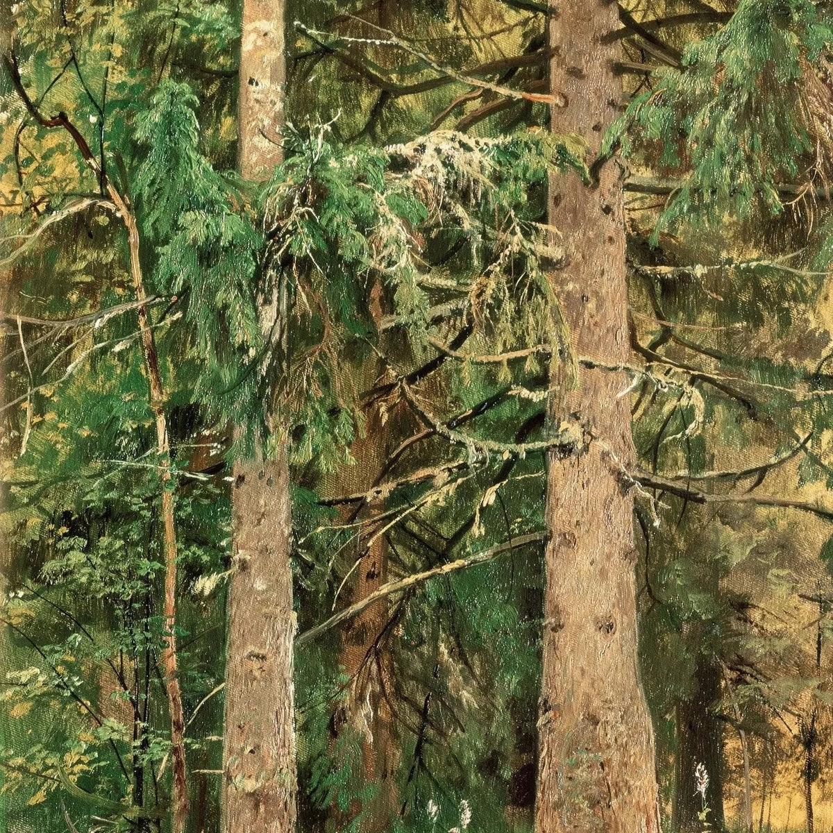 Tall Pine Forest Oil Painting – Lush Woodland Art for Home Decor - Oil Painting Haven