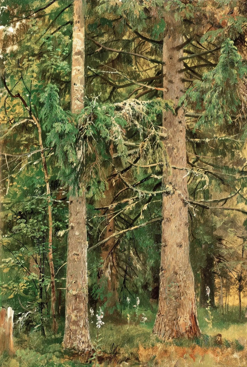 Tall Pine Forest Oil Painting – Lush Woodland Art for Home Decor - Oil Painting Haven