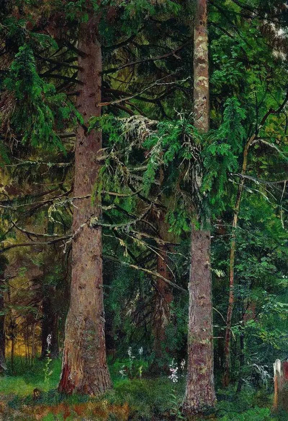 Tall Pine Forest Oil Painting – Lush Woodland Art for Home Decor - Oil Painting Haven