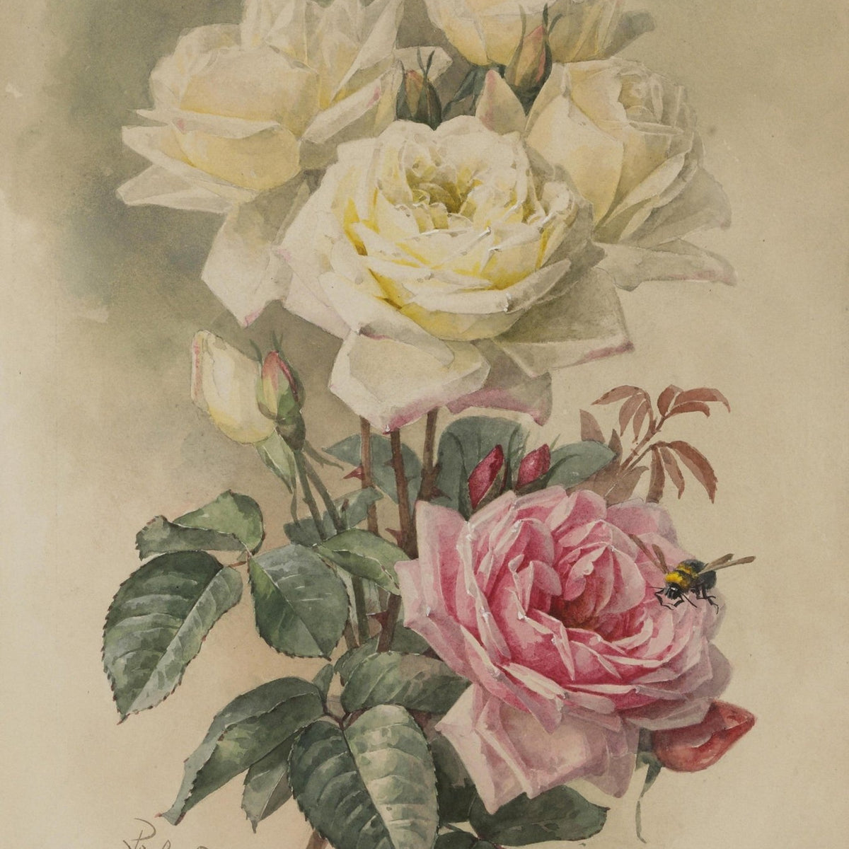 White and Pink Roses Botanical Study – Floral Oil Painting - Oil Painting Haven
