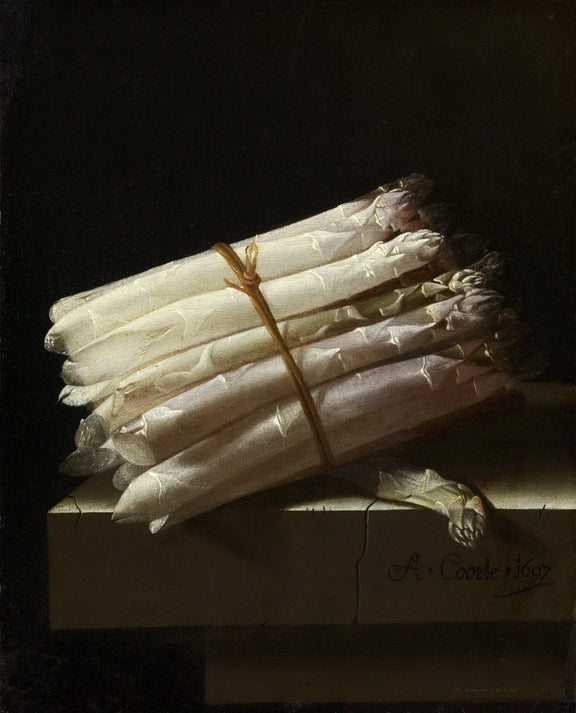 White Asparagus Bundle on Ledge - Still Life Oil Painting - Oil Painting Haven