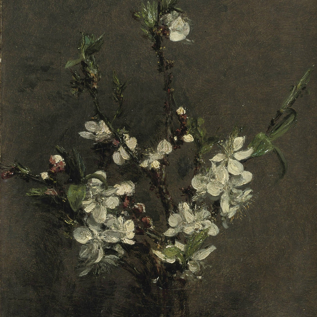 White Blossom Branch Still Life Handmade – Floral Oil Painting - Oil Painting Haven