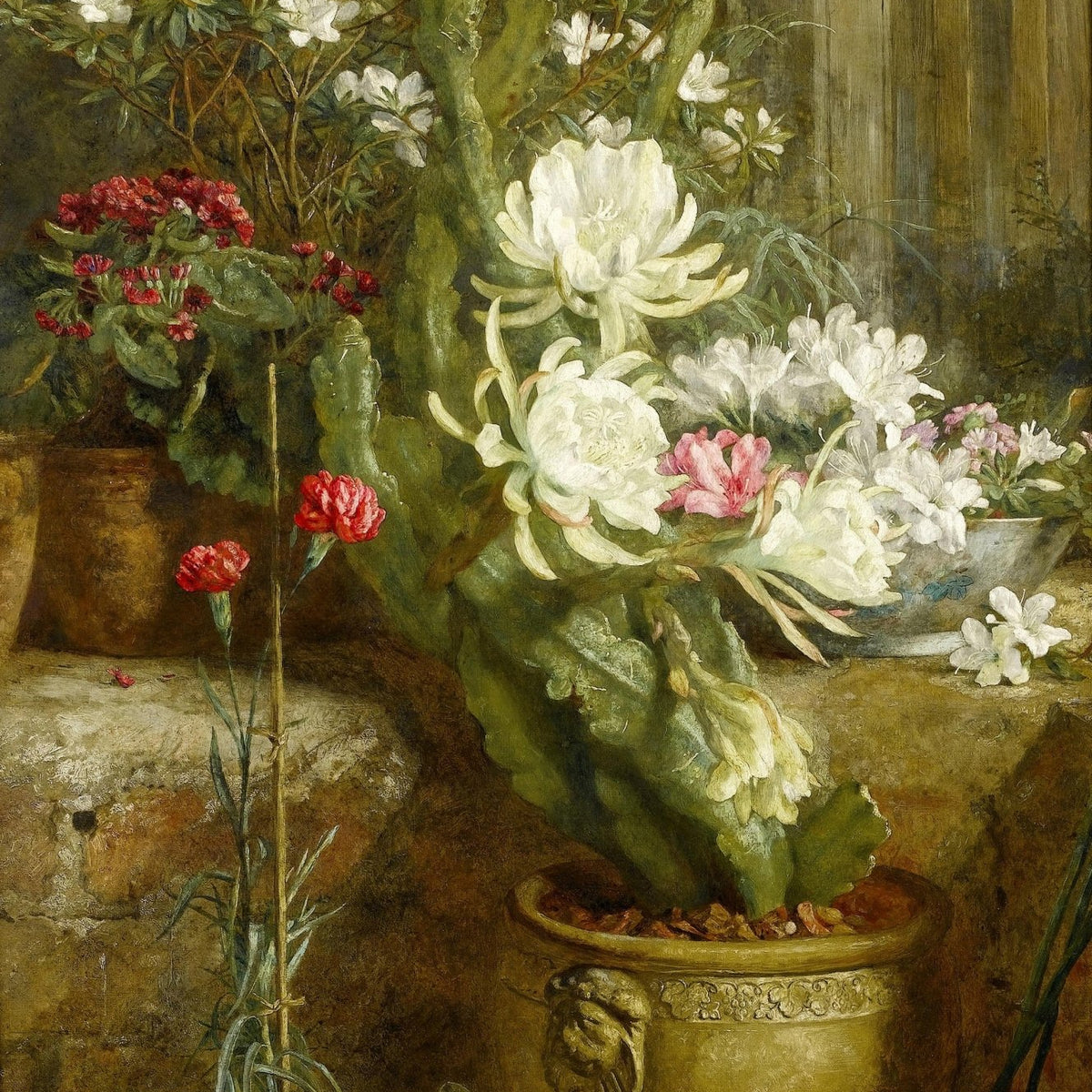 White Cactus Flowers in Garden Pot, Classic Still Life – Floral Oil Painting - Oil Painting Haven