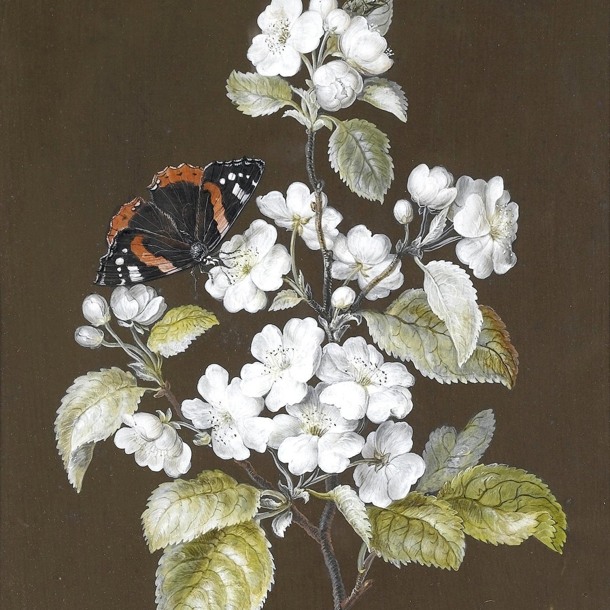 White Cherry Blossoms with Butterfly – Floral Oil Painting - Oil Painting Haven