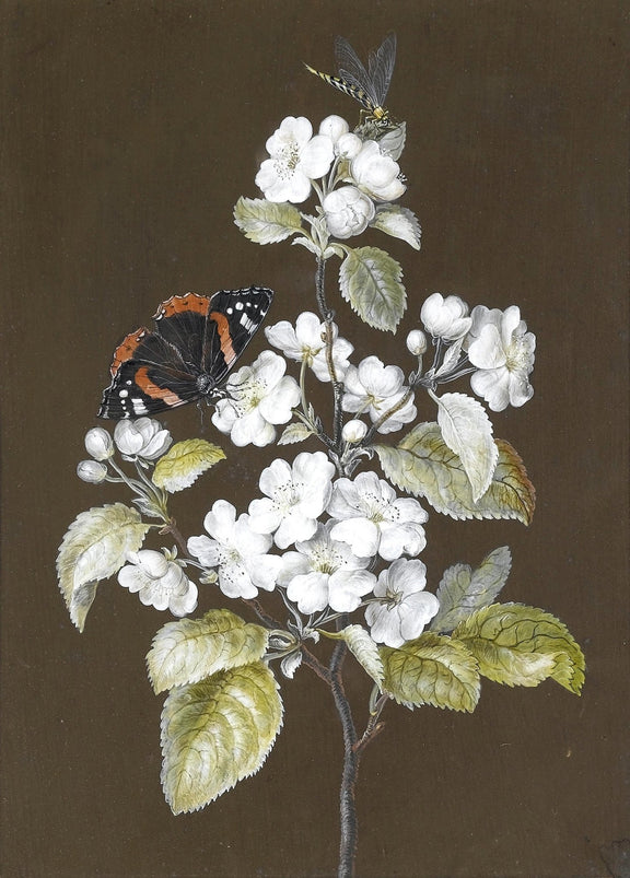 White Cherry Blossoms with Butterfly – Floral Oil Painting - Oil Painting Haven