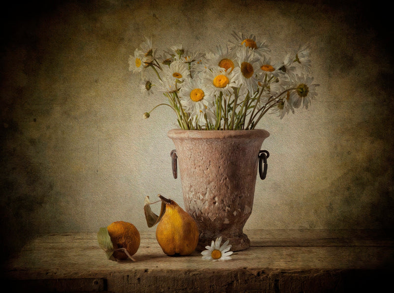 White Daisies in Rustic Vase Still Life - Floral Oil Painting - Oil Painting Haven