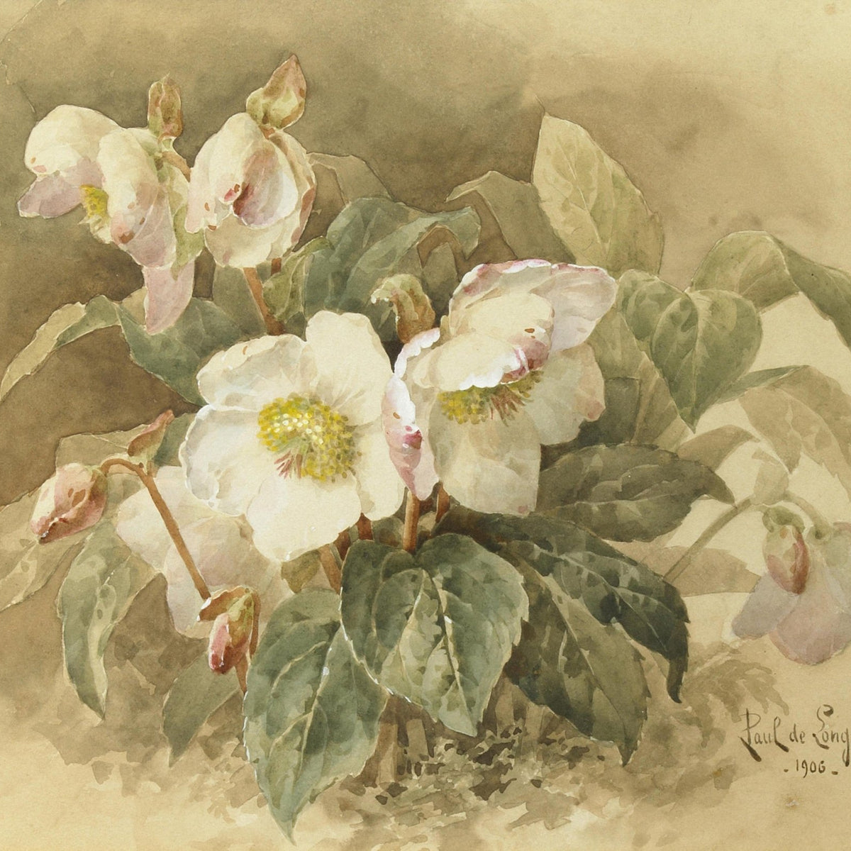 White Hellebore Botanical Still Life Art – Floral Oil Painting - Oil Painting Haven