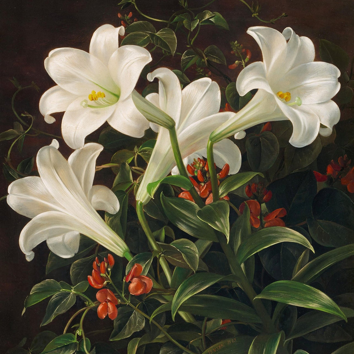 White Lilies with Green Leaves - Floral Oil Painting - Oil Painting Haven