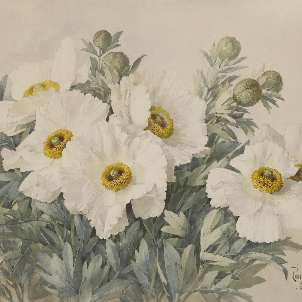 White Wildflowers with Soft Botanical Detail – Floral Oil Painting - Oil Painting Haven